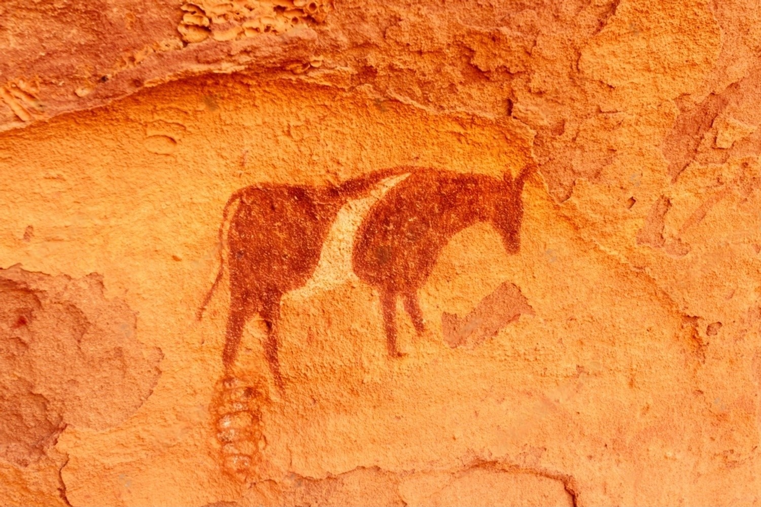 Tassili N'Ajjer National Park in Algeria